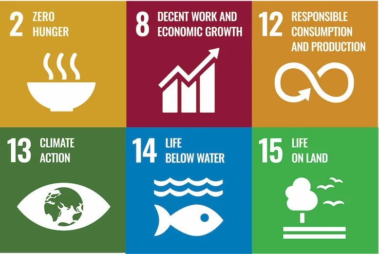 New Leaf's Sustainable Development Goals